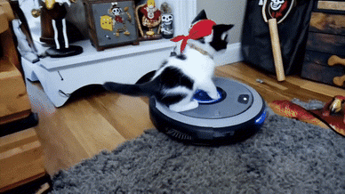 Prompt:“一只可爱的海盗小猫骑着机器人吸尘器在屋子里四处奔跑。”